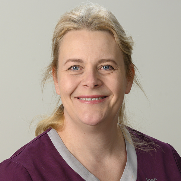 Dr Inge Mängel